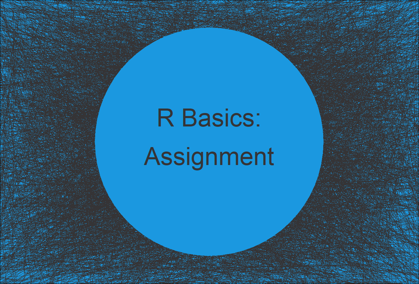 r assignment