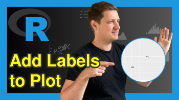 Draw Scatterplot with Labels in R (3 Examples) | Base R & ggplot2