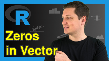 How to Create a Vector of Zeros in R (5 Examples)